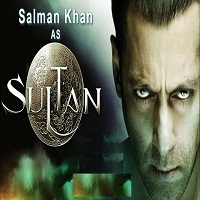 Sultan (2016) Hindi Full Movie Watch Online HD Print Free Download